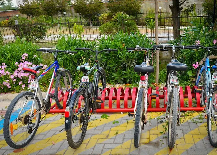 דירה Ardo גולם