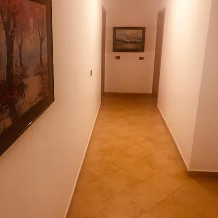 Ardo * Golem (Tirana)