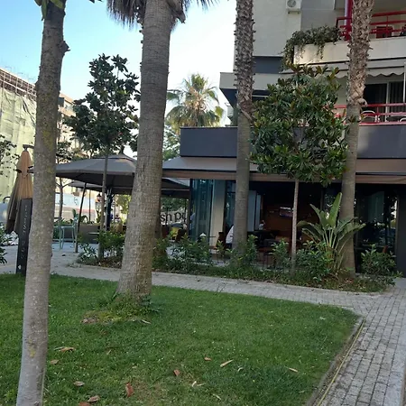 Ardo * Golem (Tirana)