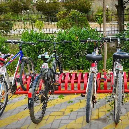 Apartamento Ardo Golem (Tirana)